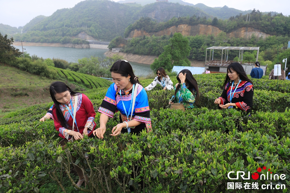 百名媒体人及网络达人“沉浸式”体验都匀旅游_fororder_微信图片_20230423130548