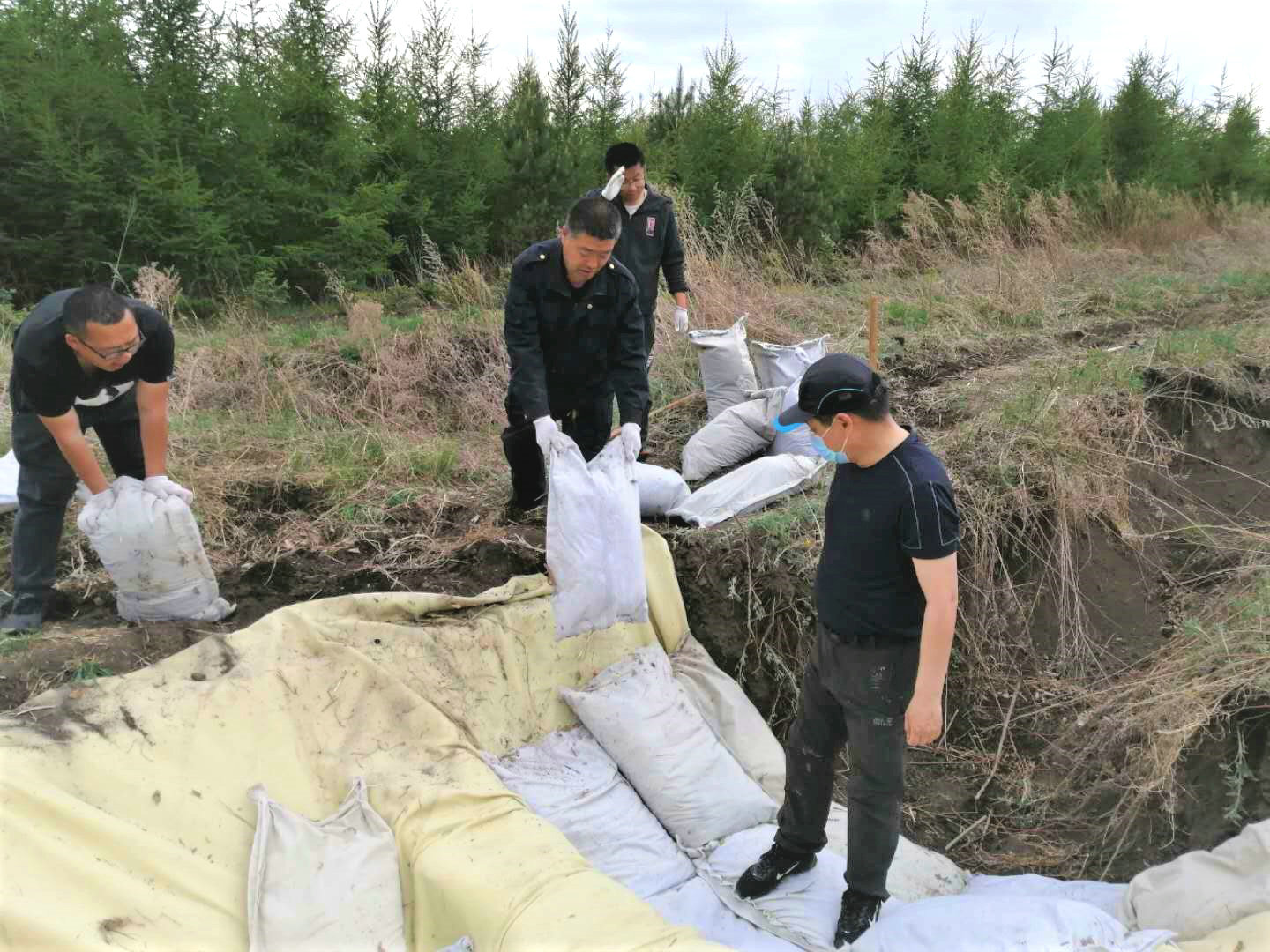 护好黑土地  守住“大粮仓” 北大荒集团建设农场全力确保黑土地永续利用_fororder_29党员干部义务在对辖区水蚀沟进行治理。