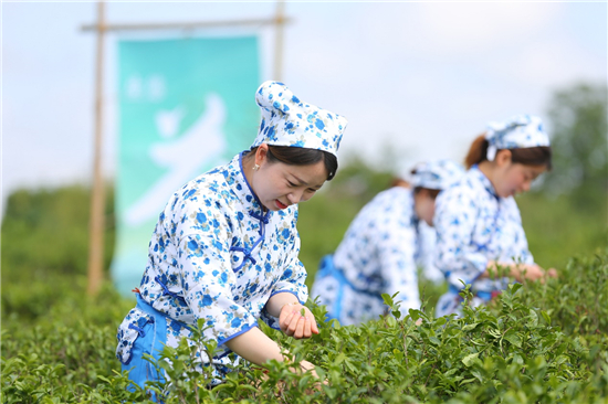 2023南京都市圈（盱眙）雨山茶旅文化节开幕_fororder_2