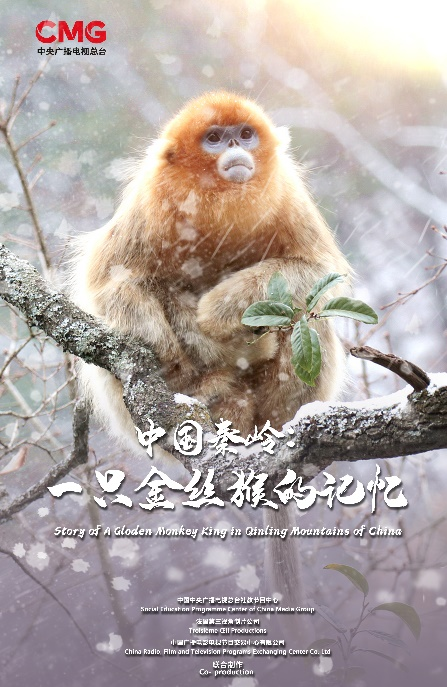 China Qinling: The Memory of a Golden Monkey, co-produced by China and France, will be broadcast on the main station.