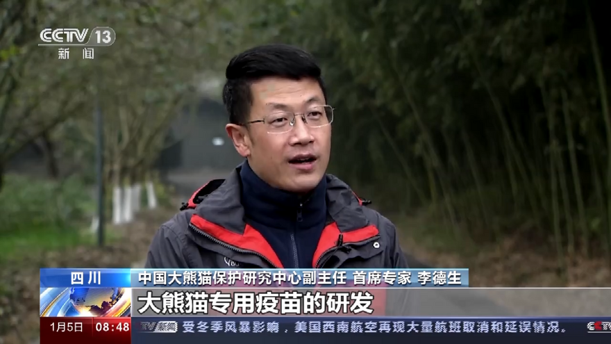 中国大熊猫保护研究中心：为大熊猫国家公园建设提供科技支撑  China Conservation and Research Center for Giant Panda: Providing Scientific and Technological Support for Construction of Giant Panda National Park_fororder_图片22