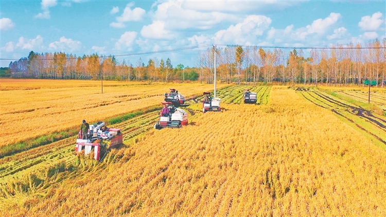 伊春：全力打造践行大食物观先行地