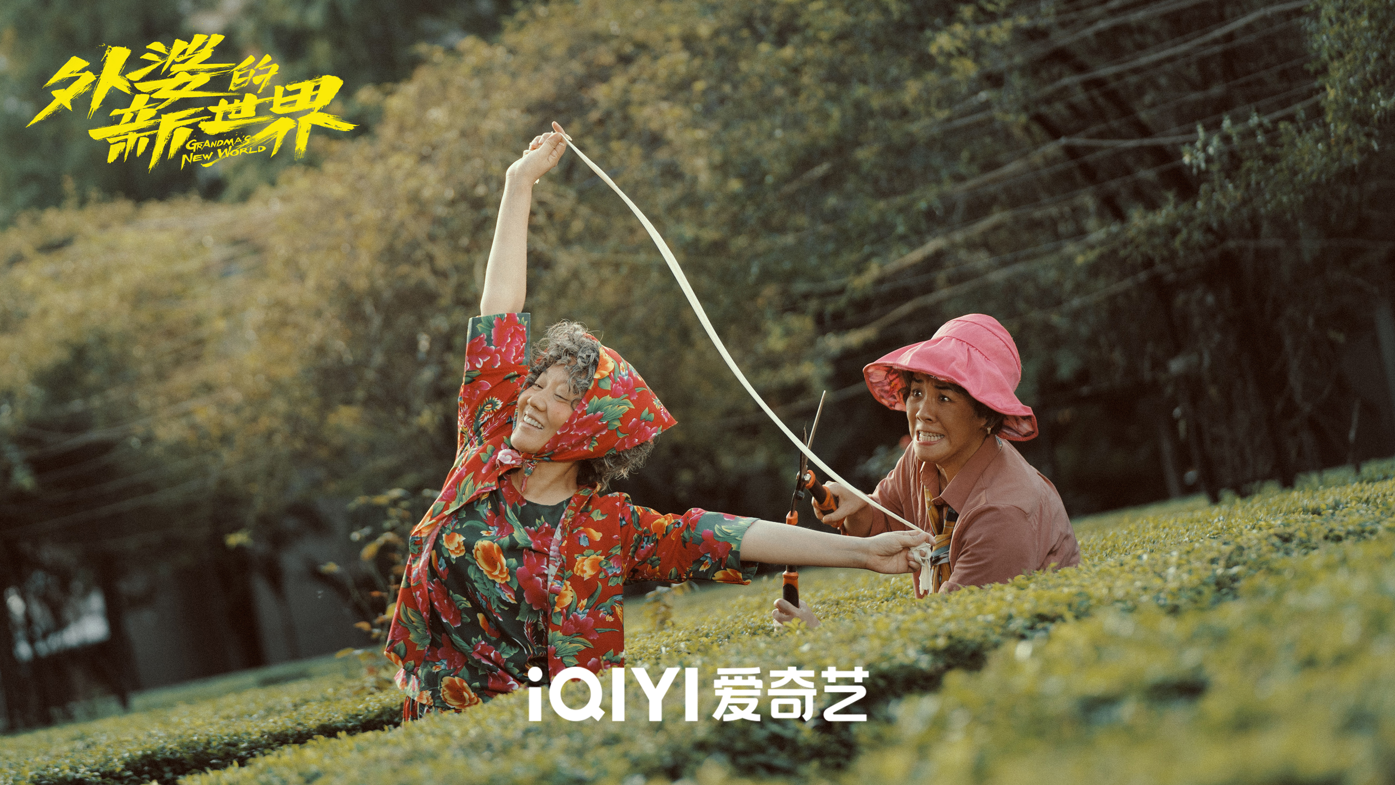 看新世界奇遇的网站_看新世界奇遇的网站有哪些