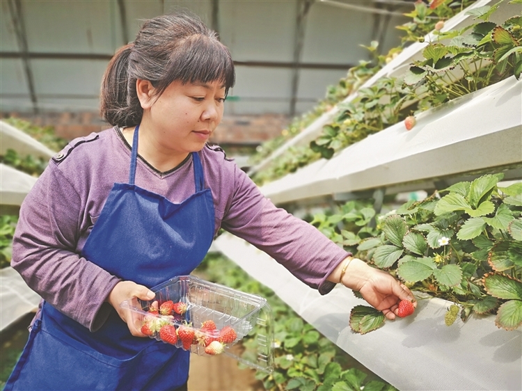 伊春：全力打造践行大食物观先行地