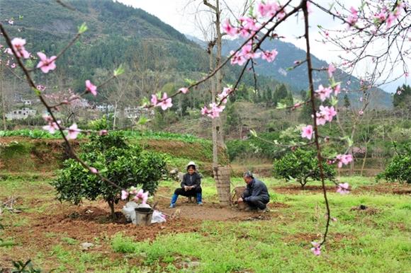 【区县联动】【酉阳】酉阳龚滩：春到红花美如画 人勤春早备耕忙【区县联动 列表】酉阳龚滩： 人勤春早备耕忙