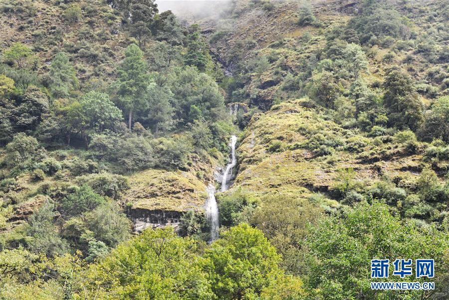 西藏山南市：山水秘境勒布沟