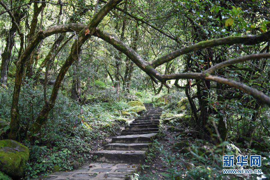 西藏山南市：山水秘境勒布沟