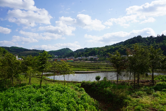 （供稿）贵州岑巩：庭院“小美”助力乡村“大美”_fororder_5、岑巩县客楼镇下寨村面貌。（吴念  摄）.JPG