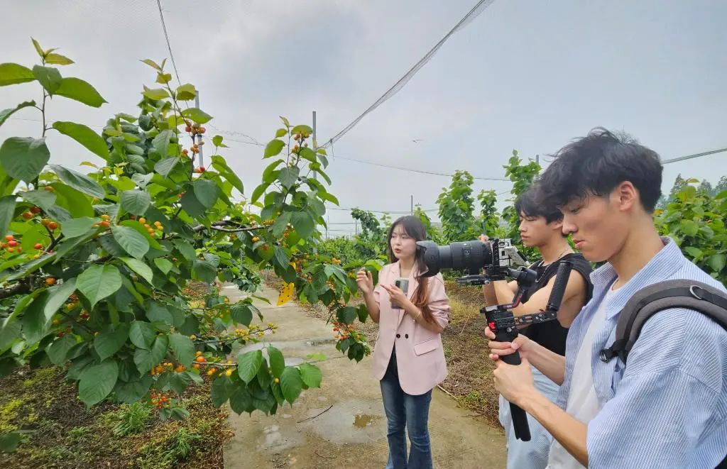 产教融合直播樱桃节 师生同行助乡村振兴_fororder_图片2