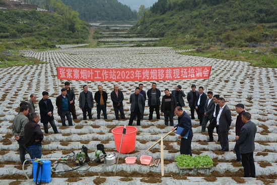 （供稿）贵州思南：抢抓时节移栽忙 奏响春耕交响曲_fororder_思南县宽坪乡烟区产业融合发展示范基地技术培训 