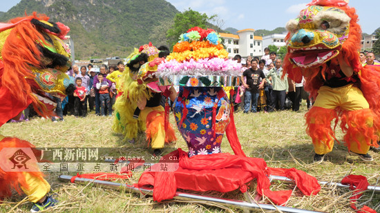 【焦点图、八桂大地百色、移动端】广西田阳坡洪二月二花炮节热闹非凡 引来各路宾朋(图)