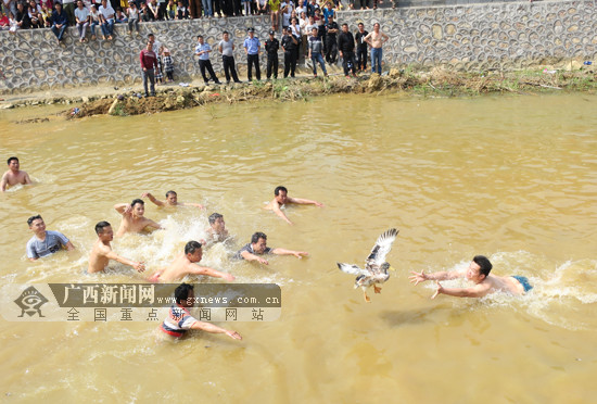 【焦点图、八桂大地百色、移动端】广西田阳坡洪二月二花炮节热闹非凡 引来各路宾朋(图)