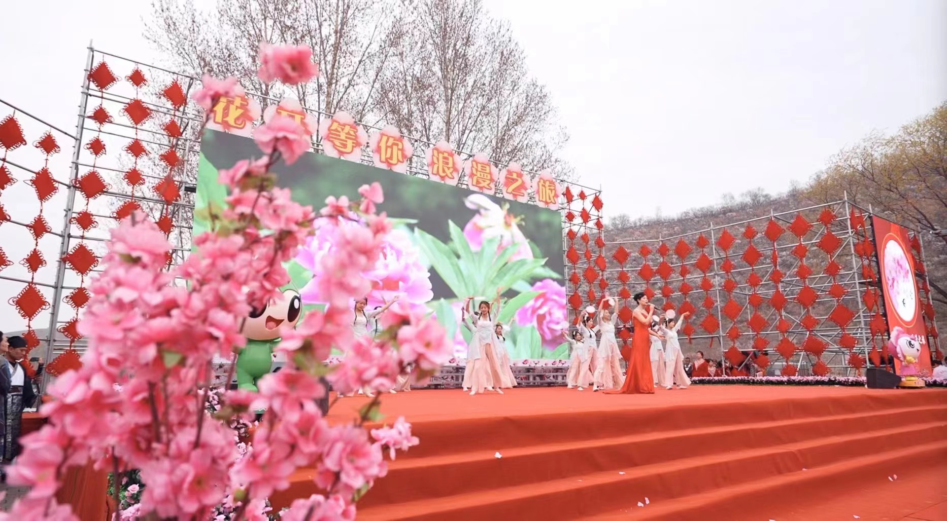 以花为媒 黑龙江鸡西打造 “花开等你 浪漫之旅”特色文旅品牌_fororder_微信图片_20230430100441