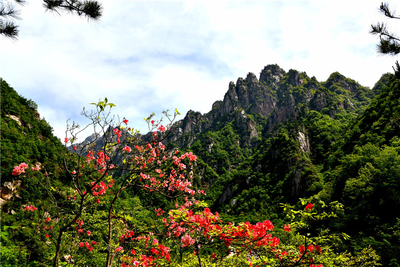 南阳老界岭景区：“五一”假期接待人数、收入均创历史新高_fororder_老界岭景区怡人风光 供图 老界岭景区