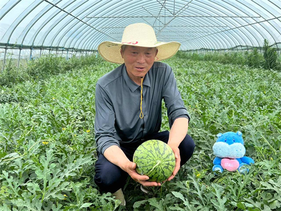 江苏特色果蔬组团上架盒马 横溪西瓜借力开启线上直送到家_fororder_图片2