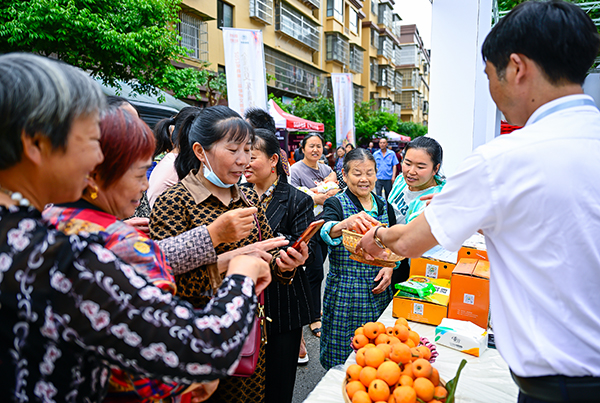 （张）开启立夏尝新新世界 自贡荣县枇杷第三届文旅季活动开幕_fororder_8游客品尝枇杷（摄影-廖志全）