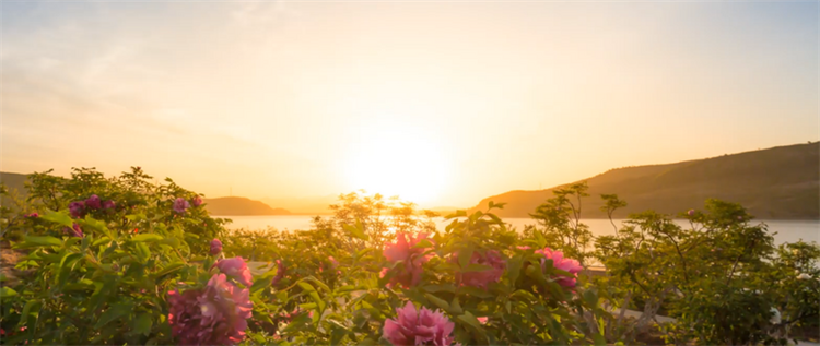 （文旅专题）葫芦岛：春风十里 陌上花开_fororder_文旅葫芦岛2