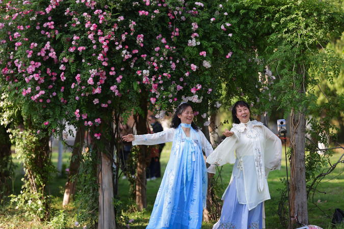 襄阳南漳：蔷薇“花瀑”扮靓街头