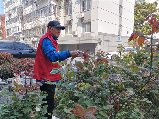 南通崇川：“红色管家”新治理 老旧小区焕新颜_fororder_图片2