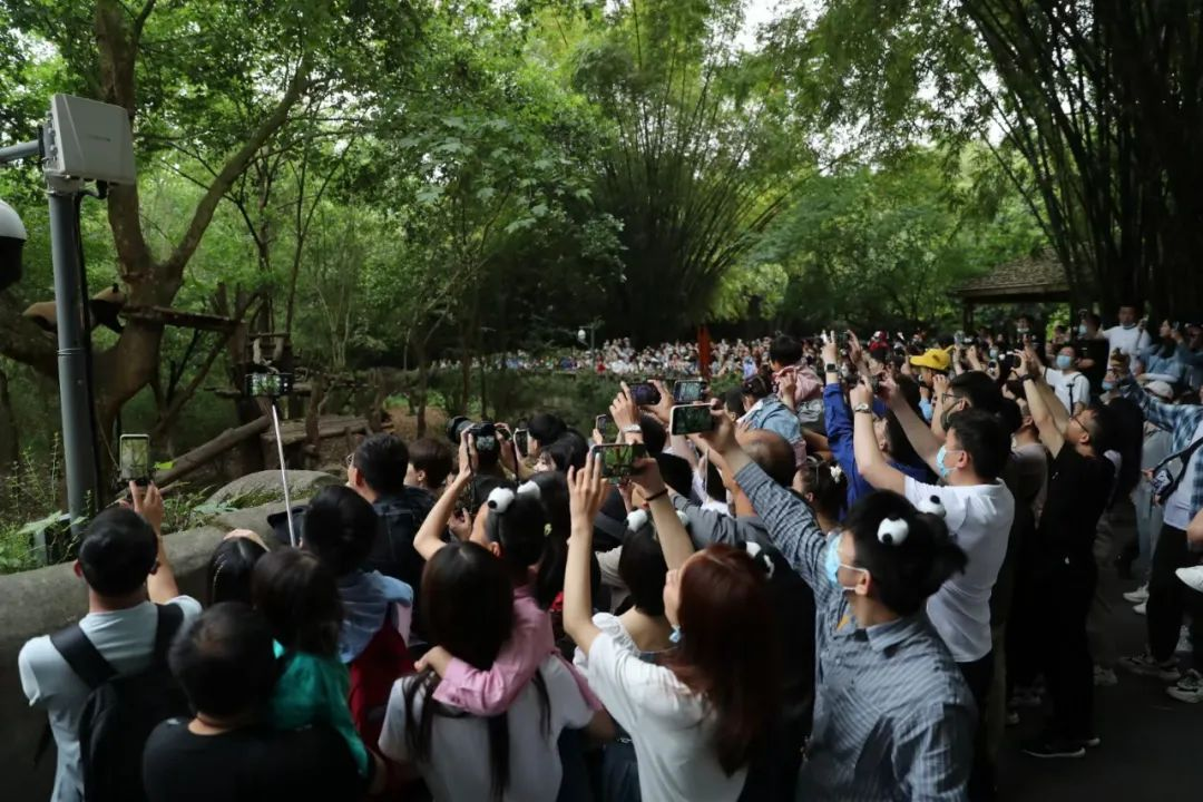 During the May Day period, Chengdu Park and Greenway Received a Total of 3.867 Million Visitors_fororder_成都2