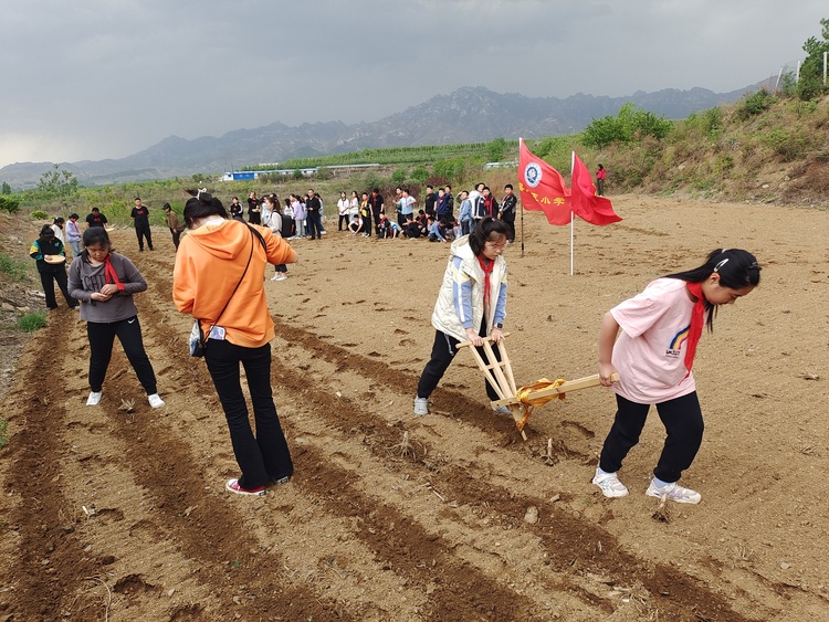 图片默认标题_fororder_唐县第五小学同学们在“尧之谷”开展田间劳作