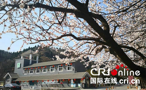 【河南原创】河南：又到山花烂漫时 第21届荥阳环翠峪杏花节开幕