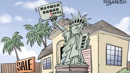 【国际漫评】这下安全了!