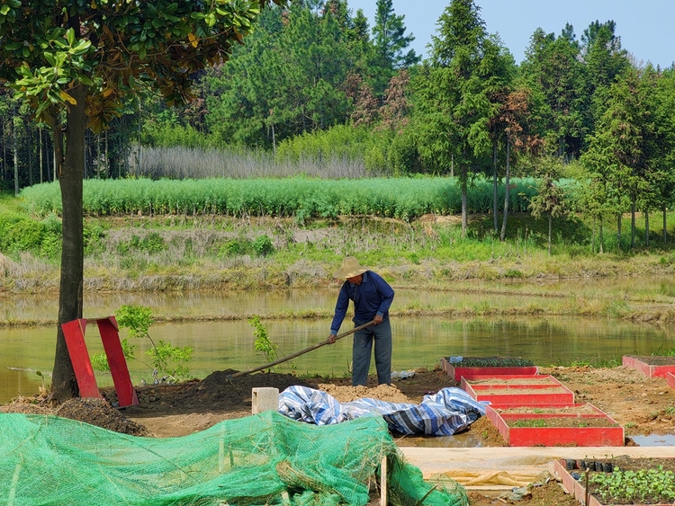 池州市贵池区：把握“产业之钥” 打开乡村振兴新大门_fororder_微信图片_20230511154746