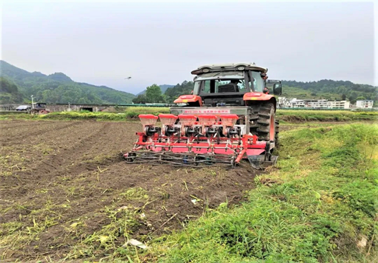 贵州都匀小围寨街道：机械化作业 跑出高粱种植“加速度”_fororder_范桥艳 摄 (4)