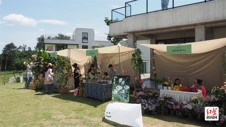 （转载）“四季蒲江” 免费游！成都蒲江明月村邀您一起“集市”行乐