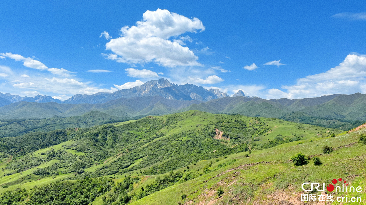 （未改完）甘肃临夏：巍巍太子山 山川如画 生灵栖息_fororder_4.PNG