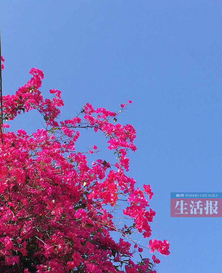 【广西要闻】未来两天广西各地都是好天气 早晚温差大预防感冒