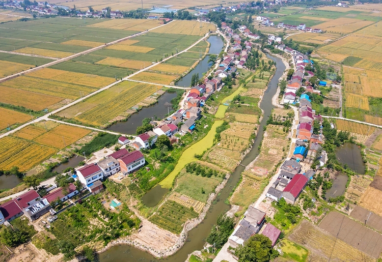 合肥庐江：小满时节 “丰”景如画_fororder_DJI_0018