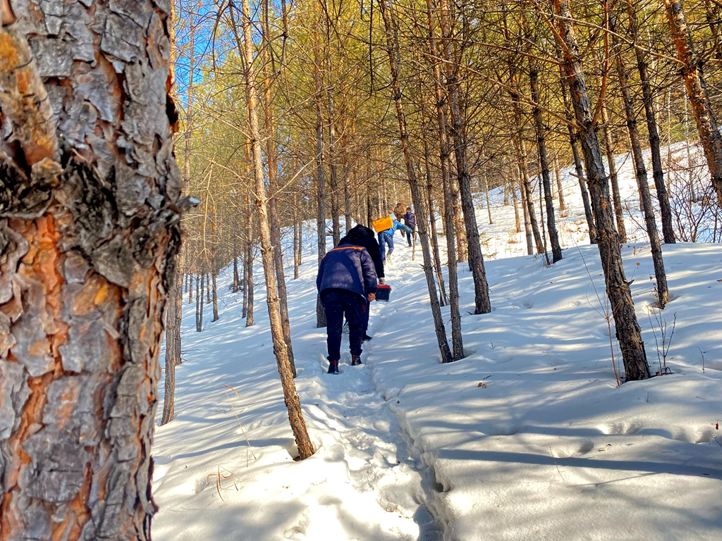 黑龙江联通匠心打造精品网络 为飞龙山地质公园插上数字化“云翅膀”_fororder_图片4