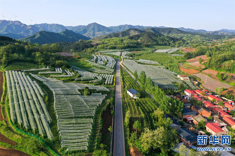 河南省三门峡市卢氏县：绿染山川满眼新