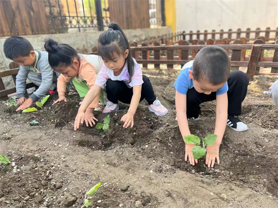 沈阳市大东区教育局东新幼儿园开展种植主题活动_fororder_图片1