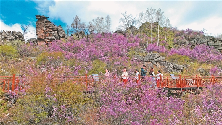 龙江“赏花节”来了！