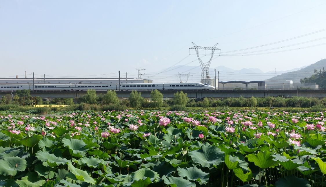 广西：夏日风景美如画