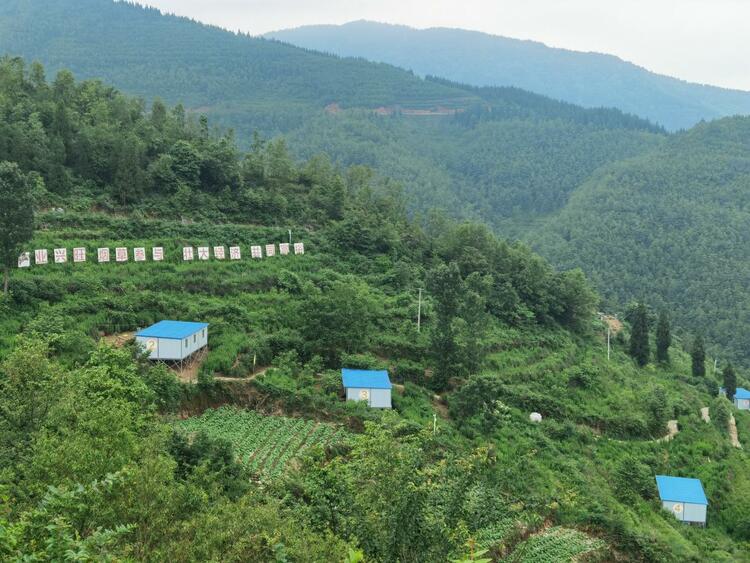 六盘水市水城区“五营方式”之一---聘才专营 让乌蒙凤鸡飞出大山