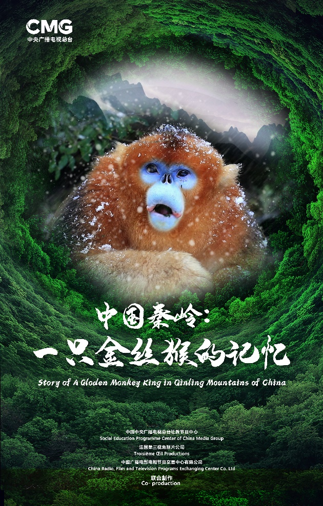 China Qinling: The Memory of a Golden Monkey, co-produced by China and France, will be broadcast on the main station.