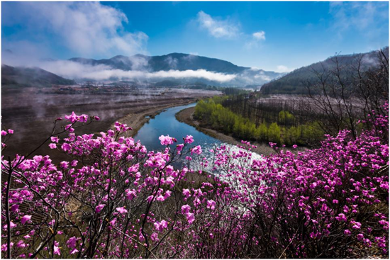 用镜头推介家乡好景 辽宁春夏美景图片 火热征集中_fororder_图片8