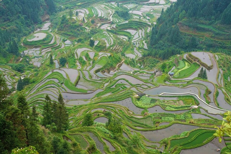 广西：程阳风雨桥美轮美奂