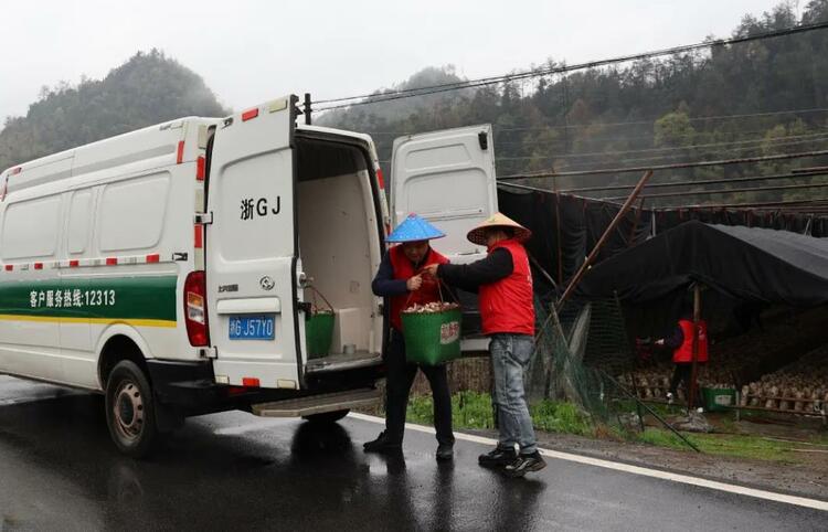 武义高山农产品搭上“采集点”走出山沟_fororder_微信截图_20230521232306