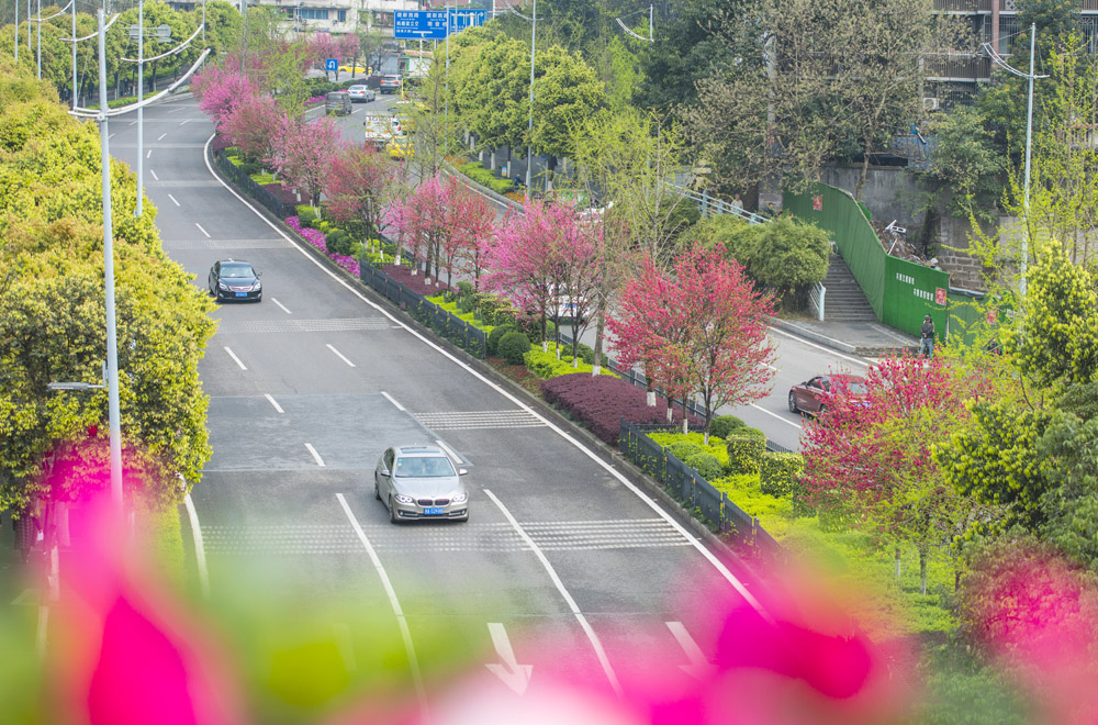 【焦点图】春分天气 千花百卉争明媚