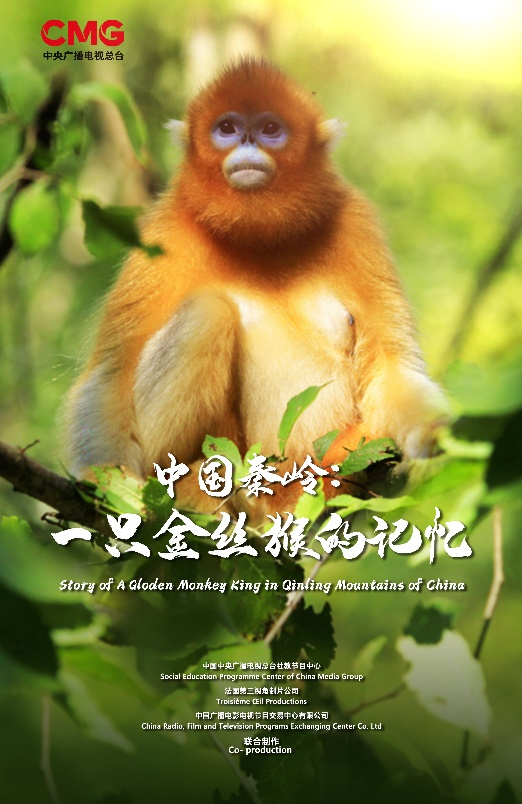 China Qinling: The Memory of a Golden Monkey, co-produced by China and France, will be broadcast on the main station.