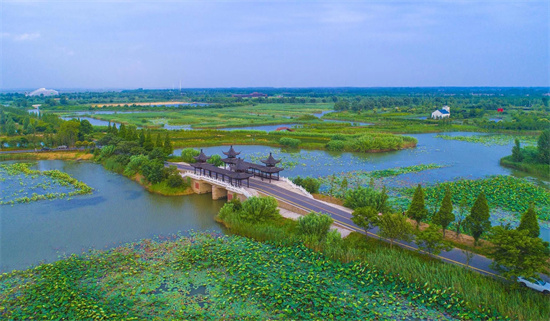 宿迁泗洪：发力“全域旅游” 2023中国·泗洪洪泽湖湿地文化旅游季启动_fororder_图片16