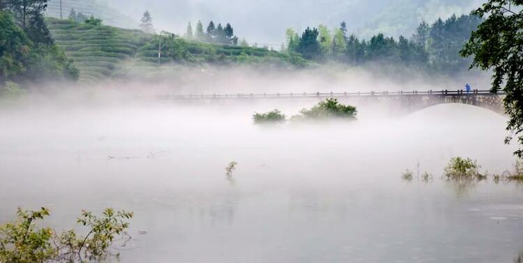 金华婺城白沙溪水利风景区申报国家水利风景区通过省级初审_fororder_微信截图_20230522200927