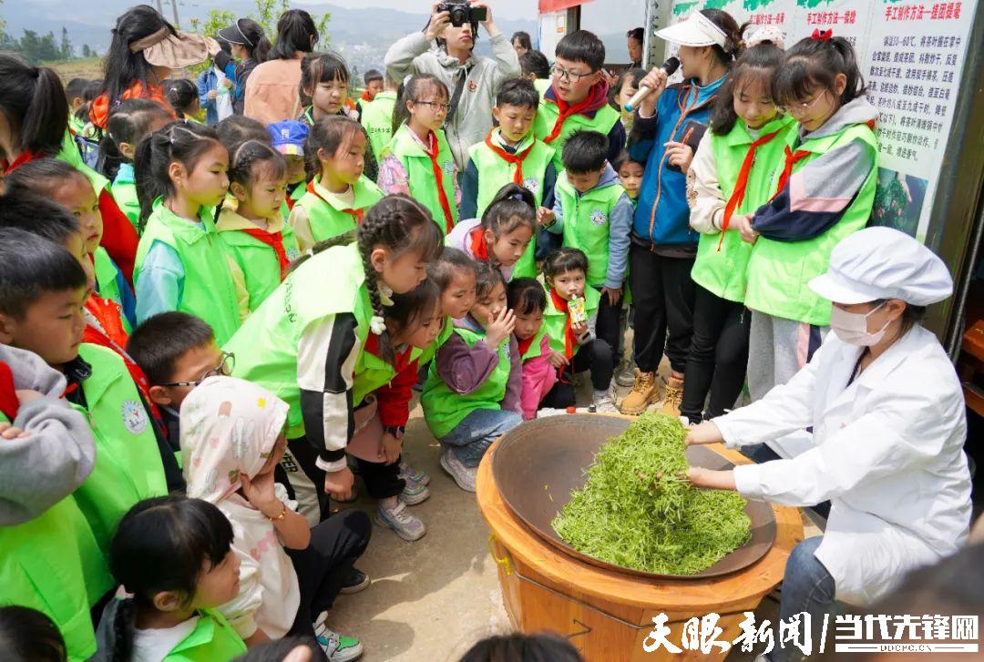 贵州丹寨：认领一亩“智慧茶园” 宅家也能种“春天”