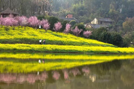 【CRI专稿 列表】重庆羊鹿山景区首届油菜花文化旅游节开幕