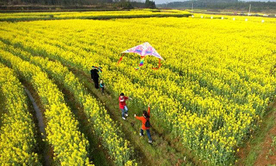 【CRI专稿 列表】重庆羊鹿山景区首届油菜花文化旅游节开幕